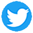 icon Twitter